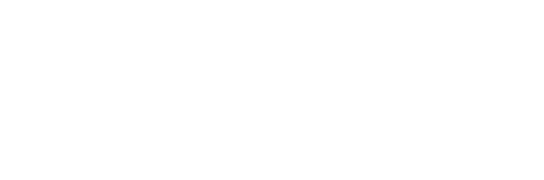 viviplaynet