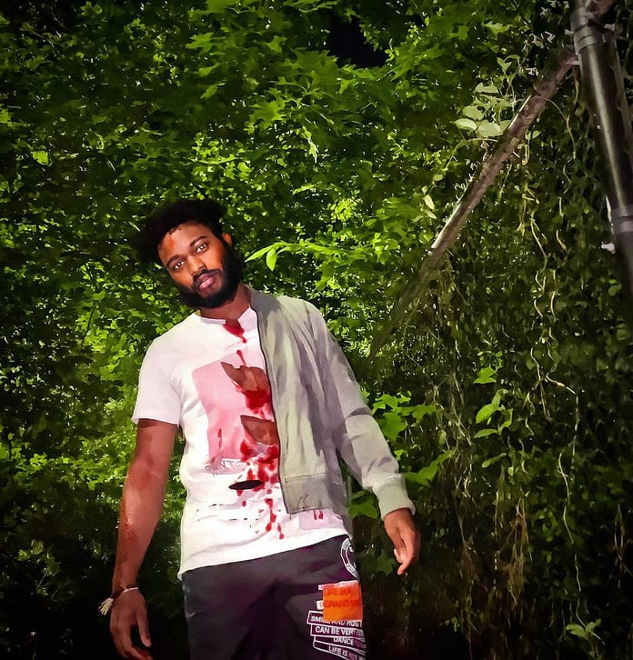 Gemïny's Soulful Serenade A Vivid Journey Through Love's Labyrinth